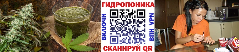 Cannafood конопля  наркотики  Заволжье 