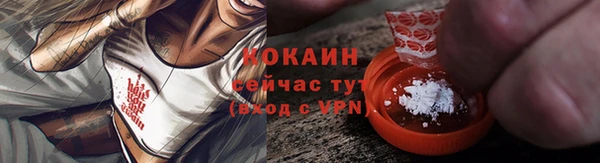 дмт Богданович