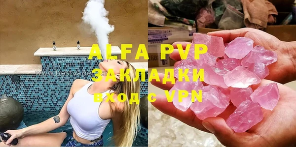дмт Богданович