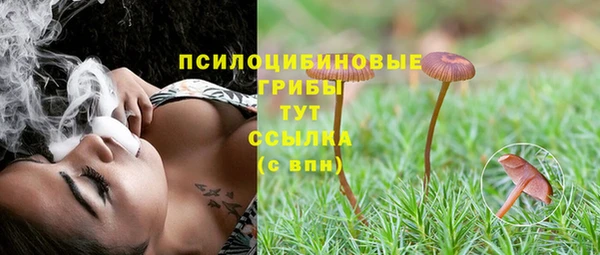бутират Баксан